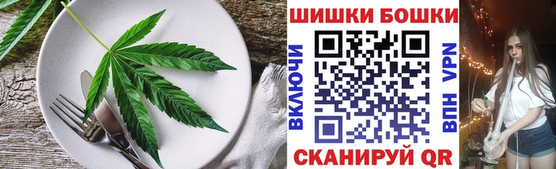 MEGA ТОР  Чаплыгин  Canna-Cookies конопля 