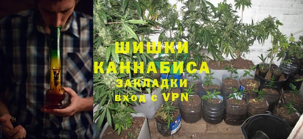 ПСИЛОЦИБИНОВЫЕ ГРИБЫ Алексеевка