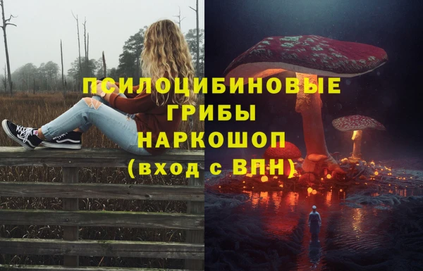 таблы Алексин