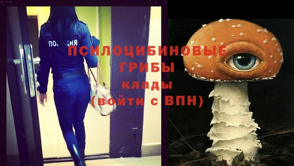 ПСИЛОЦИБИНОВЫЕ ГРИБЫ Алексеевка