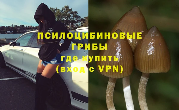 таблы Алексин